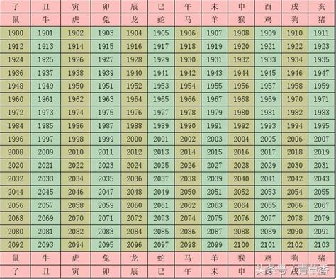 1982年五行屬什麼